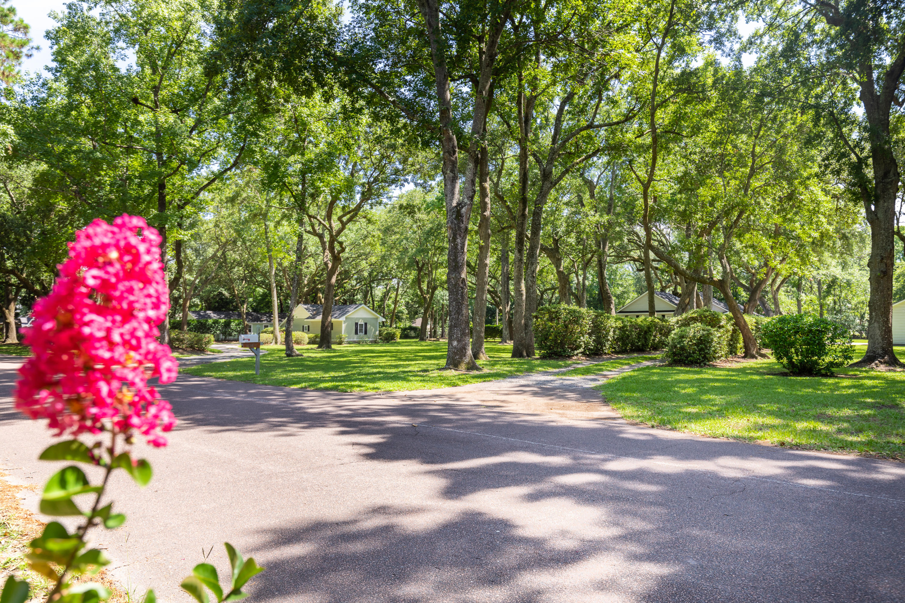 1433 Hale Road Mount Pleasant, SC 29464 - Photo 11 of 33 1433HaleRoad-KeenEyeMarketing-2
