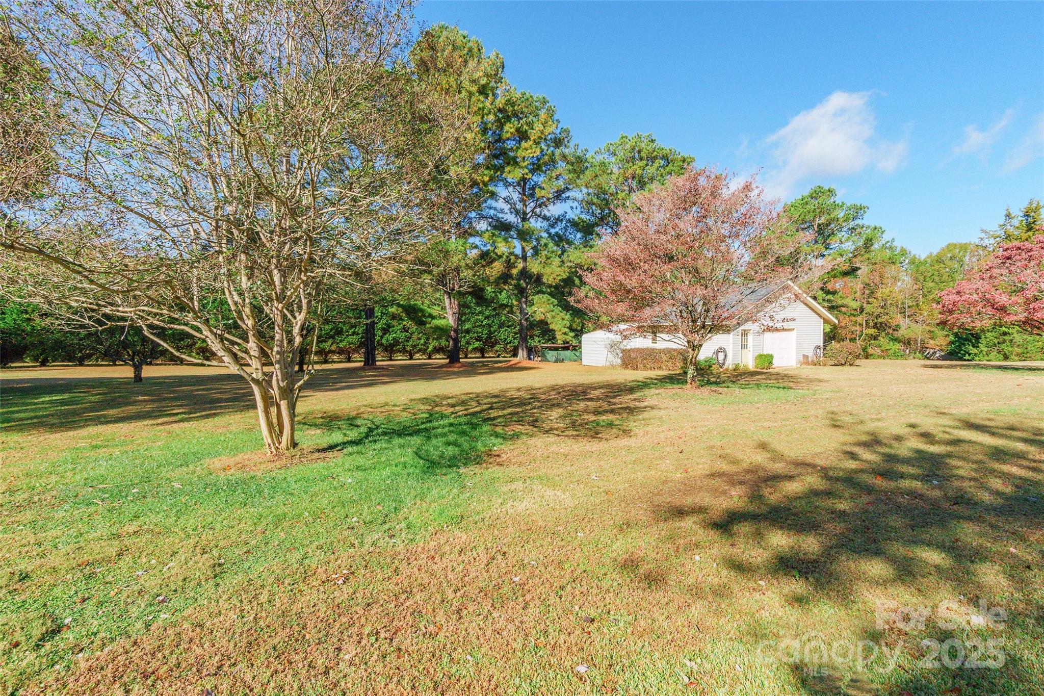 673 Tirzah Road York, SC 29745 - Photo 31 of 37 a view of yard with tree