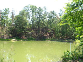 3066 Pine Log Road Warrenville, SC 29851 - Photo 1 of 1