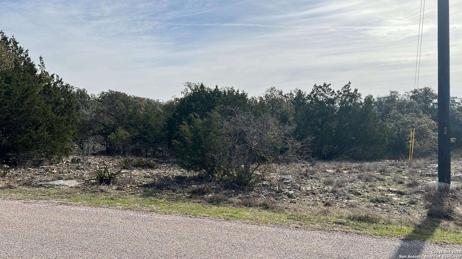 119 Asa Harold Blanco, TX 78606 - Photo 4 of 8 a view of a yard with a tree