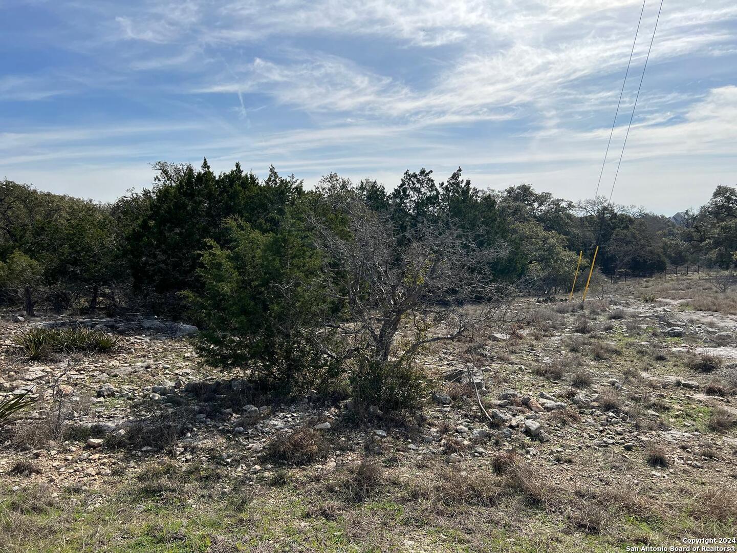 119 Asa Harold Blanco, TX 78606 - Photo 6 of 8 a view of a field with trees in the background