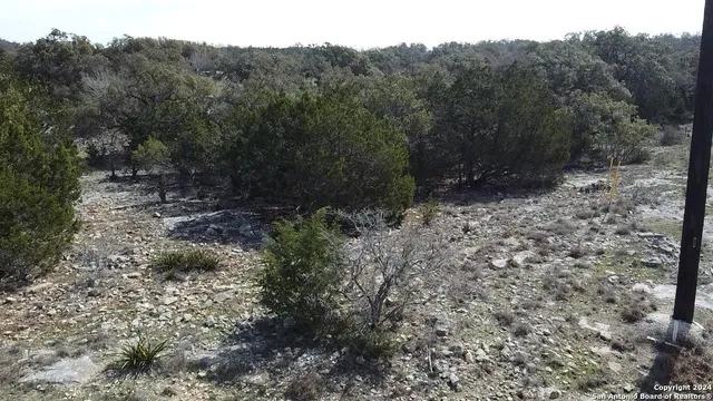 a view of a yard with a tree