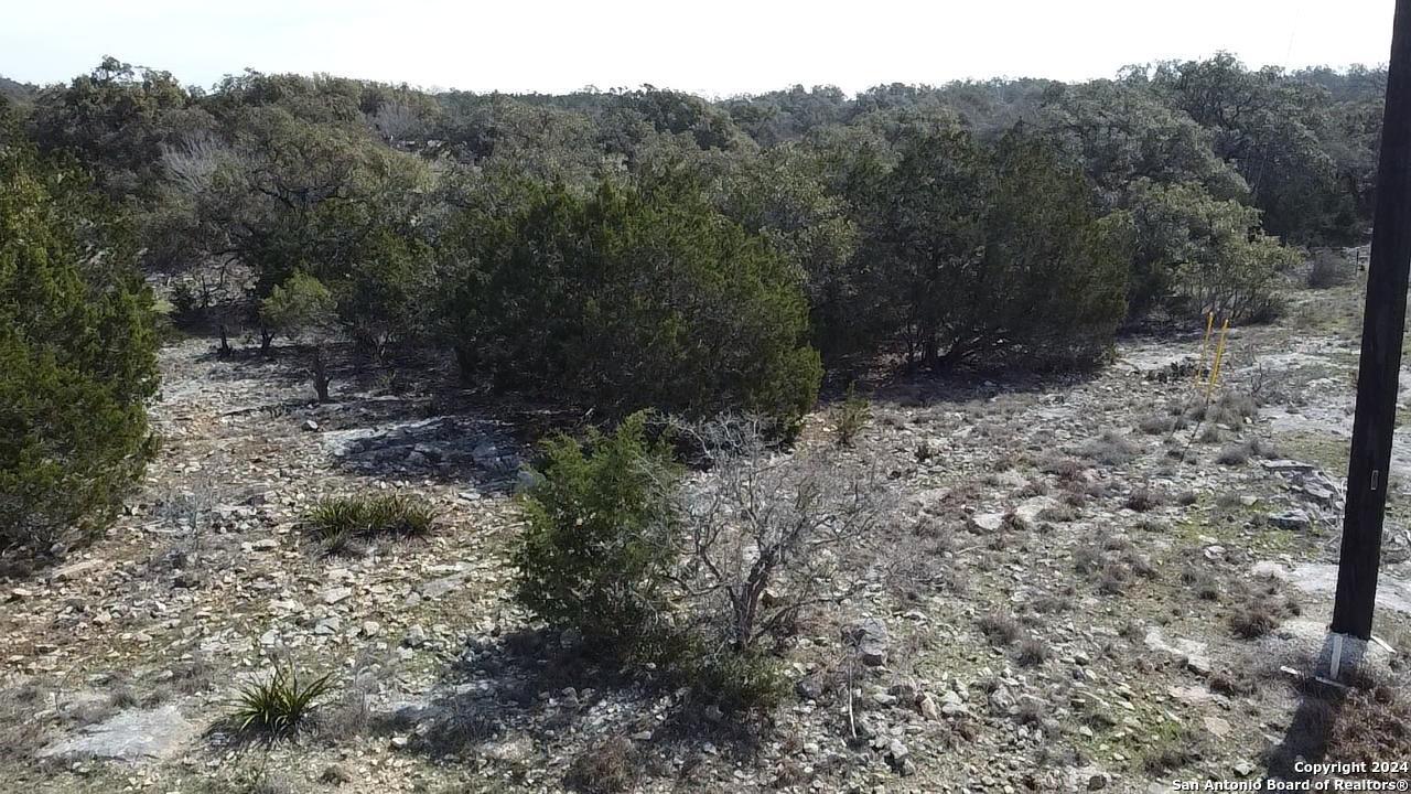 119 Asa Harold Blanco, TX 78606 - Photo 8 of 8 a view of a yard with a tree