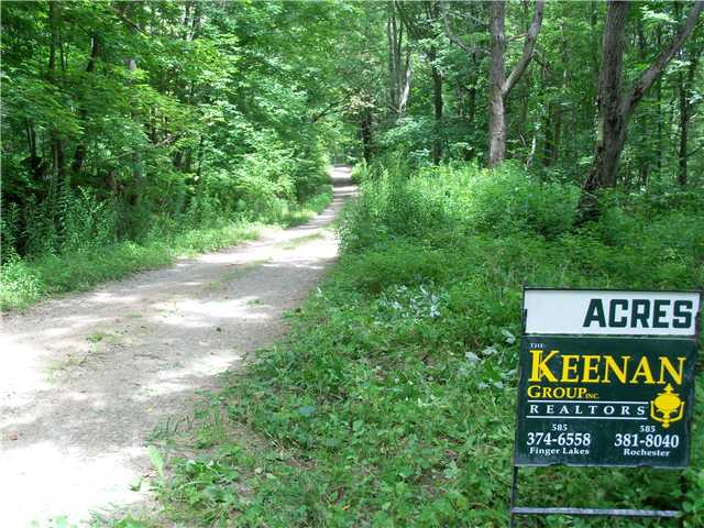 0 Lewis Road West Cohocton, NY 14826 - Photo 1 of 1 Other street view
