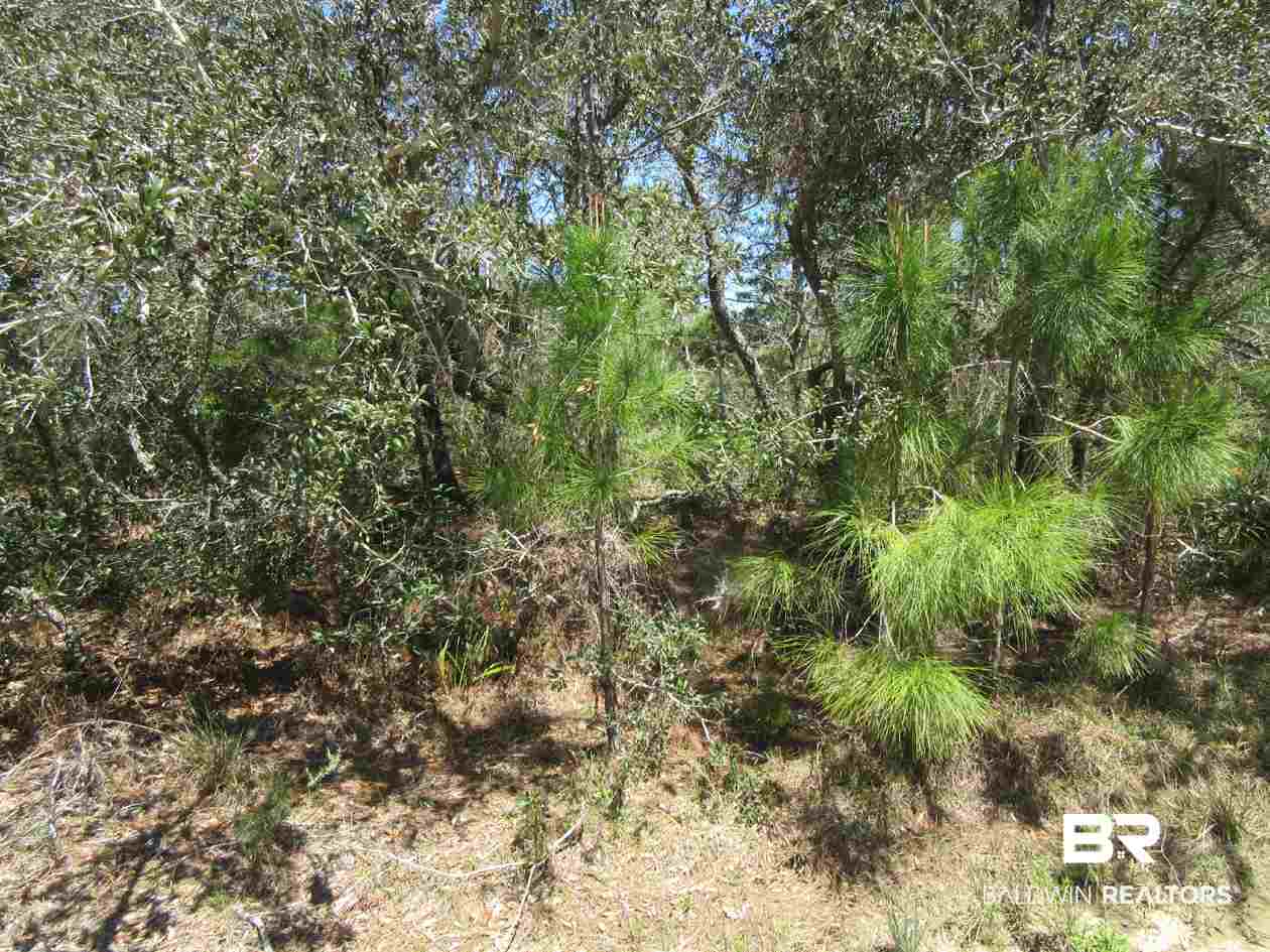 Zeanah Road Gulf Shores, AL 36542 - Photo 8 of 15