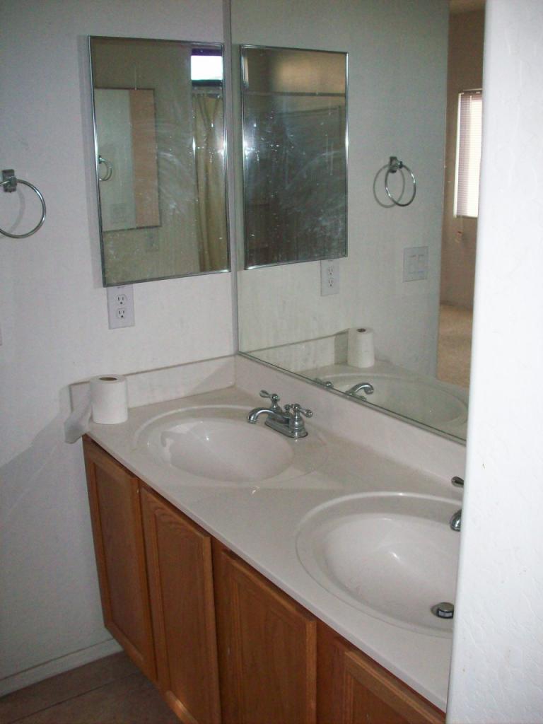 917 West Carter Road Phoenix, AZ 85041 - Photo 6 of 7 Double sinks in master