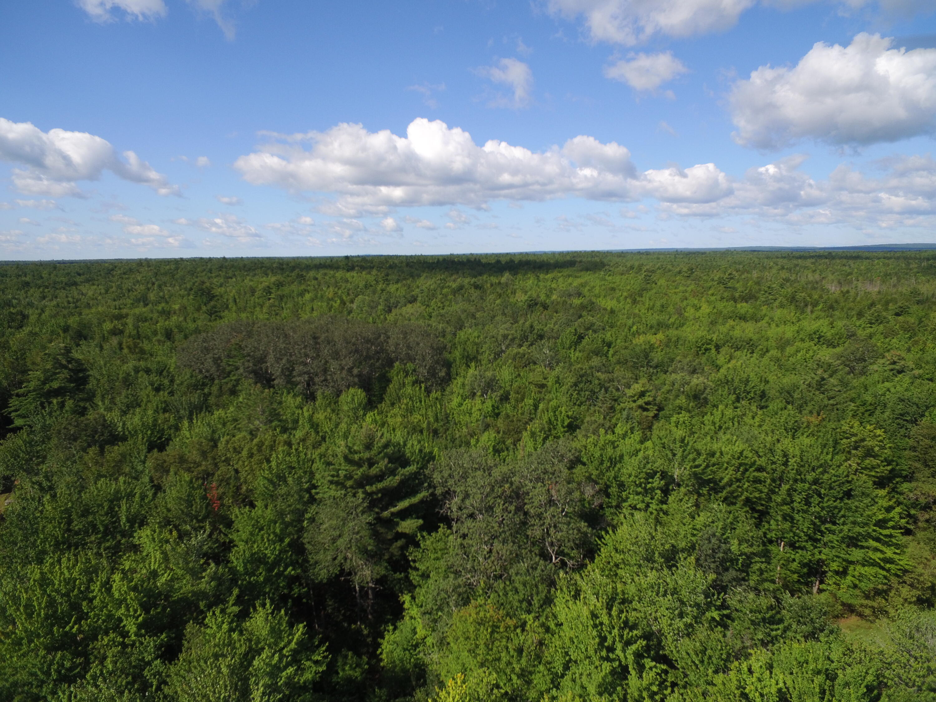 2 Edinburg Road Howland, ME 04448 - Photo 12 of 16 DJI_0028
