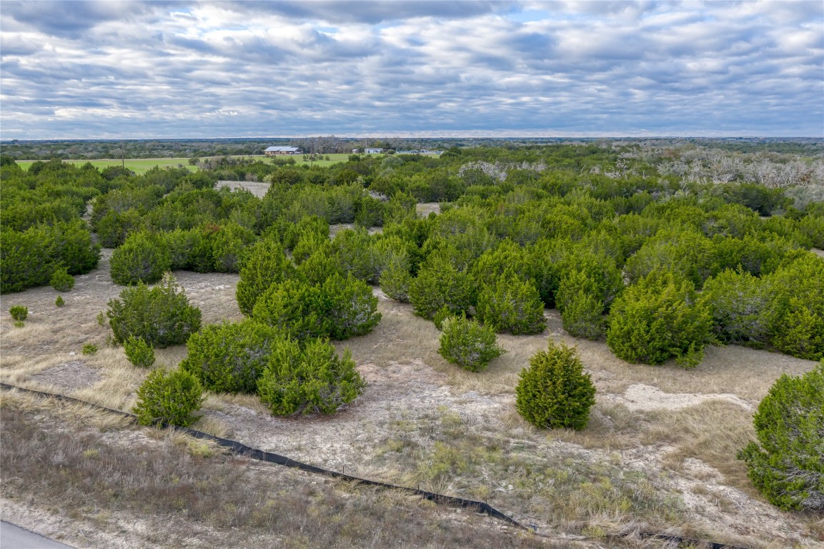 169 Whispering Wind Road Bertram, TX 78605 - Photo 16 of 16 a view of a large yard with a street
