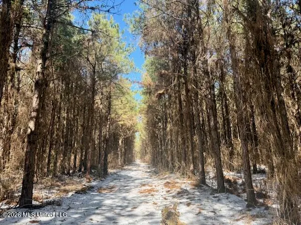 $1,245,000 | Debutte Road, Bastrop, LA 71220