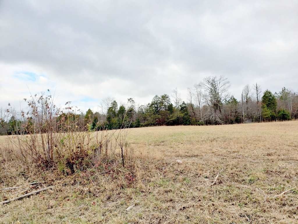 0 County Road 187 Decatur, TN 37322 - Photo 20 of 35 Gallery Image 20