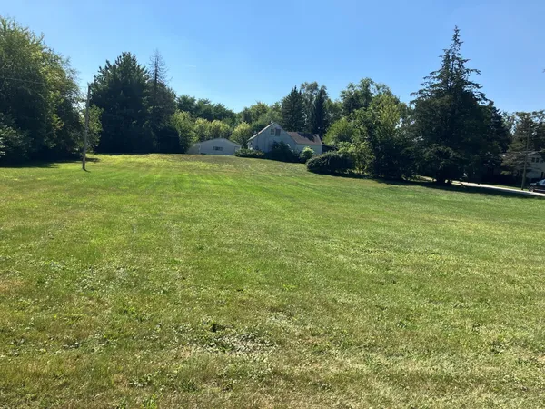 a view of a field with trees in the background