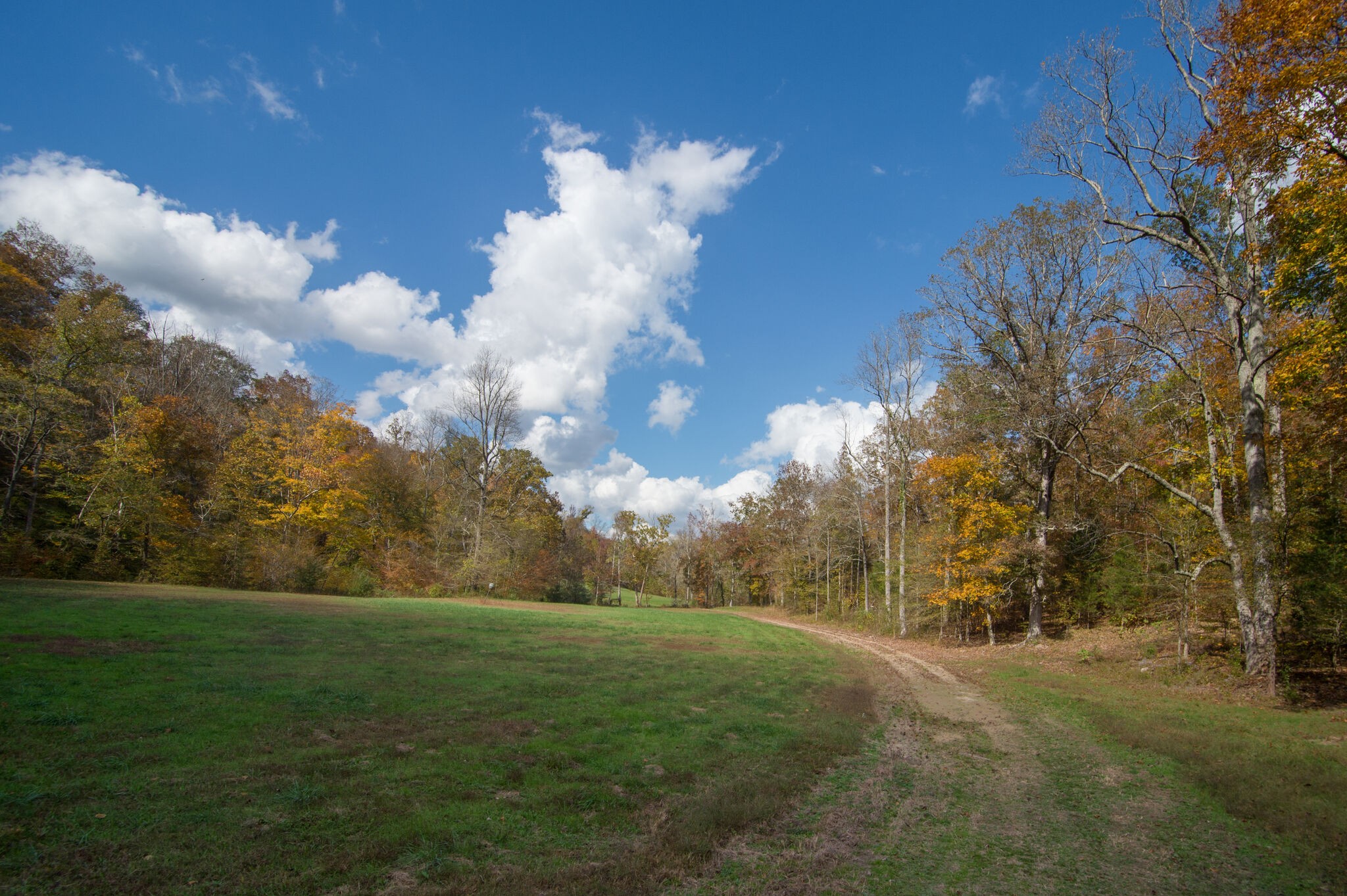 7534 Buffalo Road Nashville, TN 37221 - Photo 28 of 48 Gallery Image 28