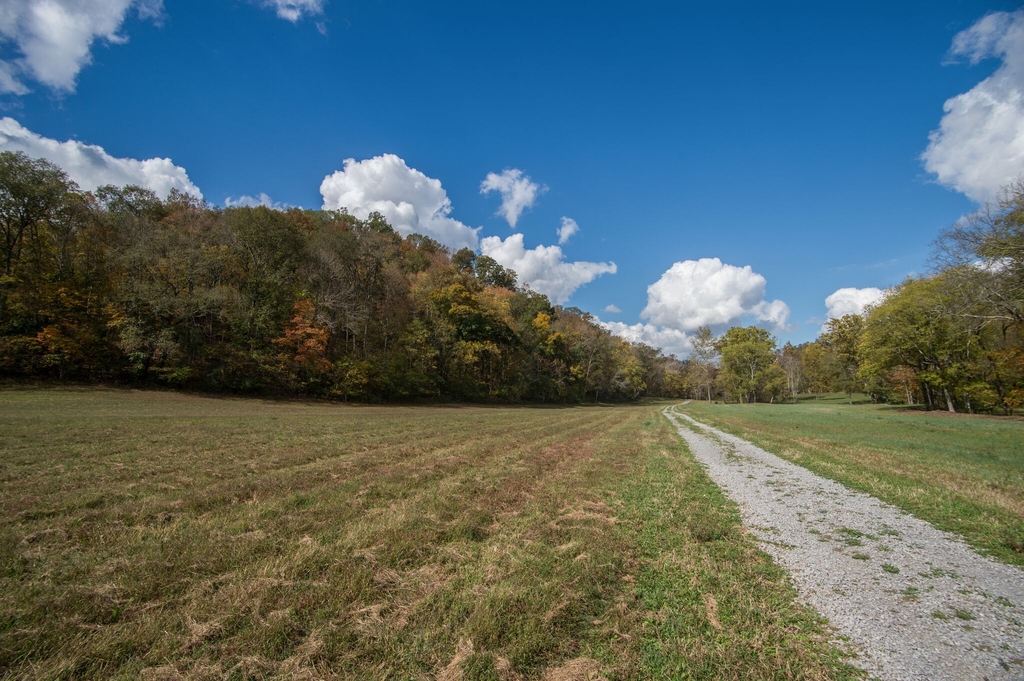 7534 Buffalo Road Nashville, TN 37221 - Photo 31 of 48 Gallery Image 31