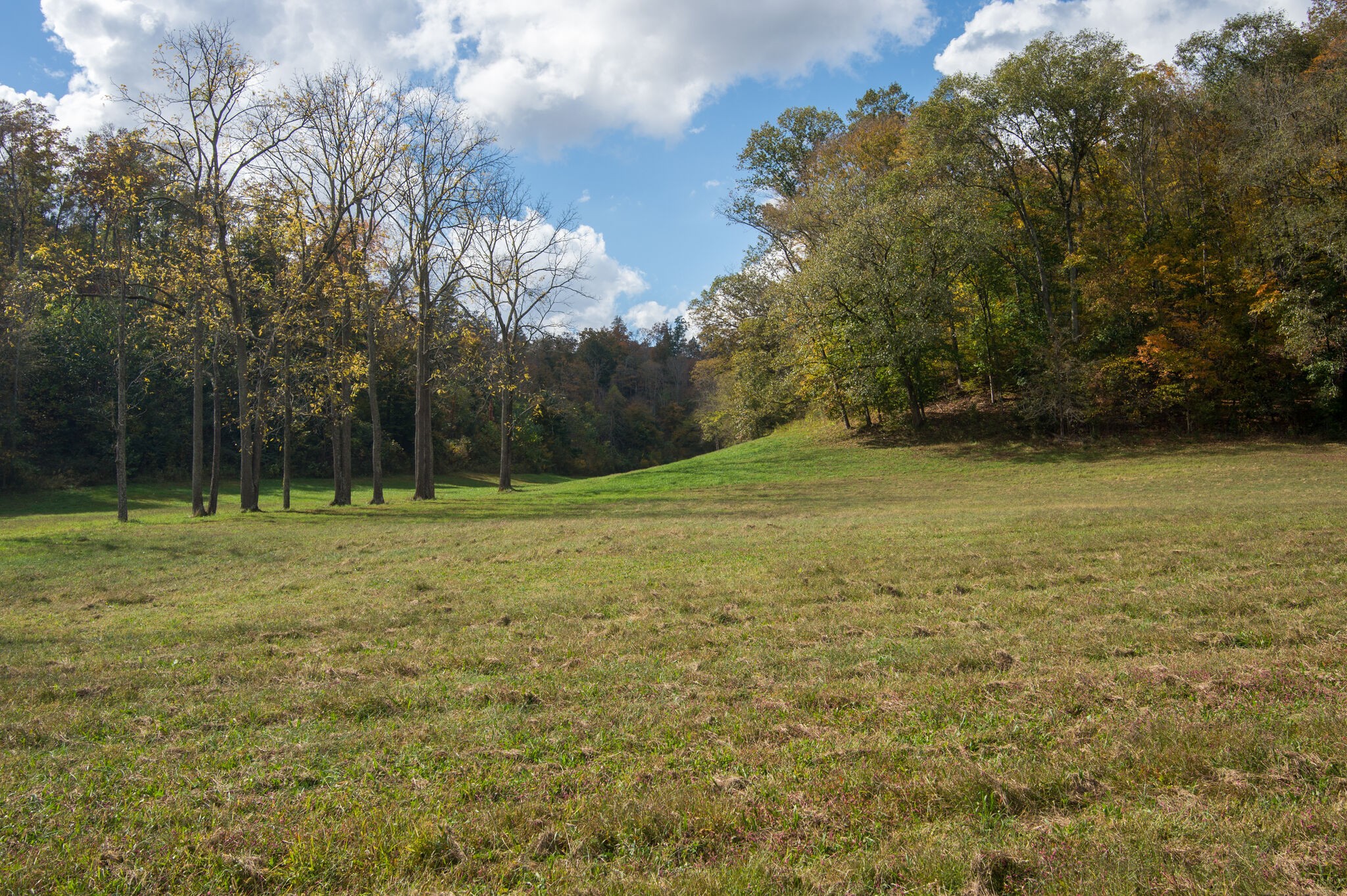 7534 Buffalo Road Nashville, TN 37221 - Photo 32 of 48 Gallery Image 32