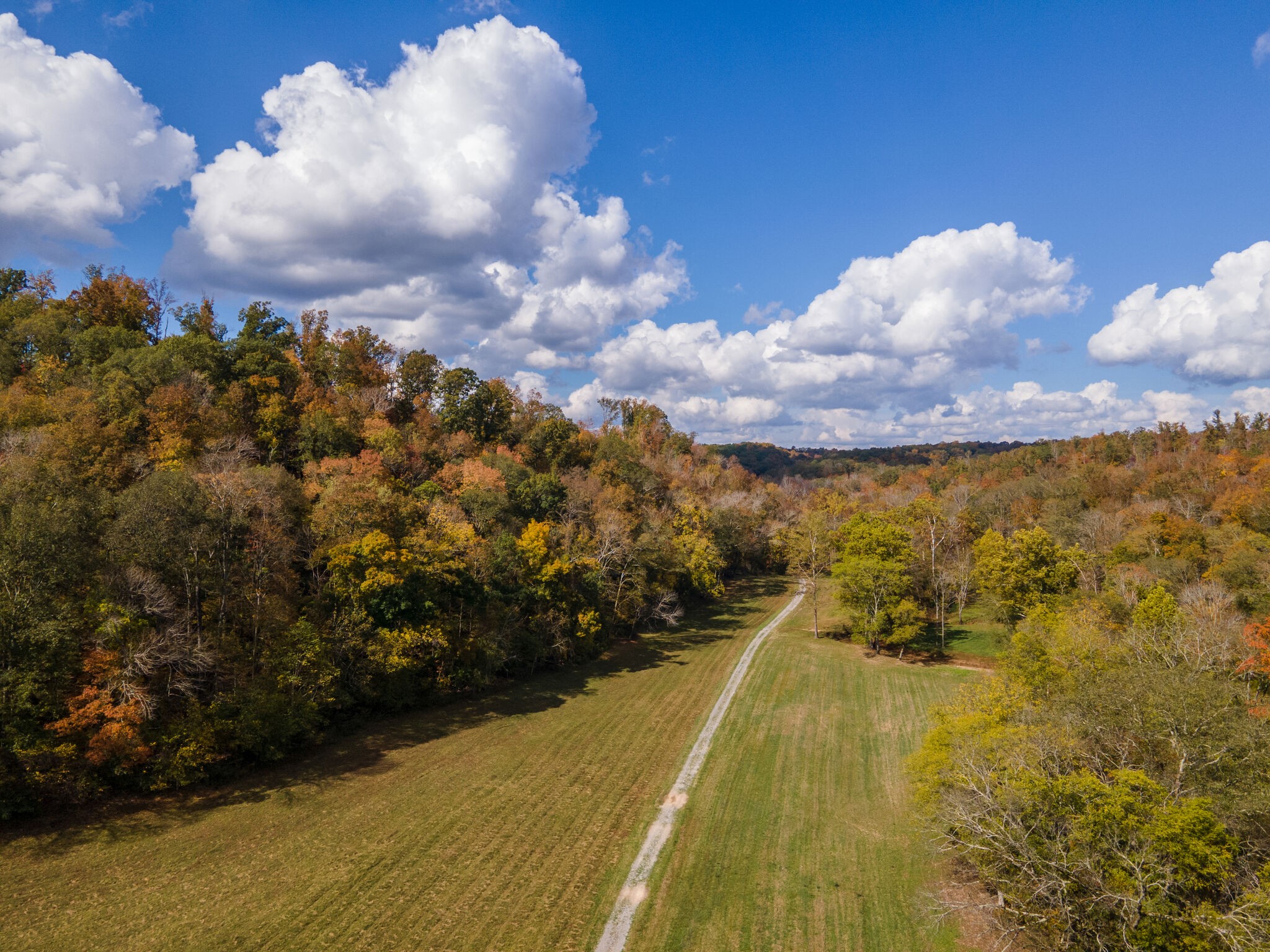 7534 Buffalo Road Nashville, TN 37221 - Photo 35 of 48 Gallery Image 35