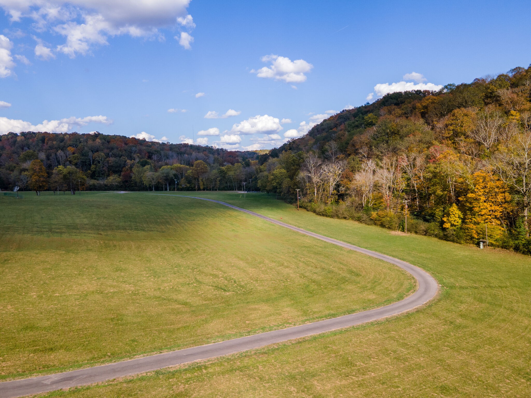 7534 Buffalo Road Nashville, TN 37221 - Photo 10 of 48 Gallery Image 10