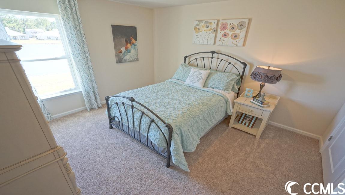217 Harvest Rdg Way Conway, SC 29527 - Photo 20 of 29 Gallery Image 20