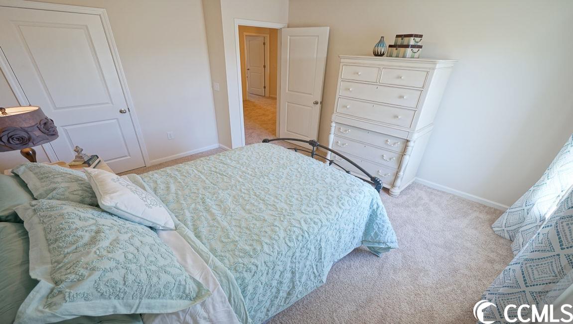 217 Harvest Rdg Way Conway, SC 29527 - Photo 21 of 29 Gallery Image 21