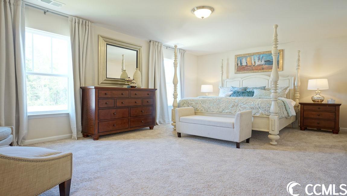 217 Harvest Rdg Way Conway, SC 29527 - Photo 25 of 29 Gallery Image 25