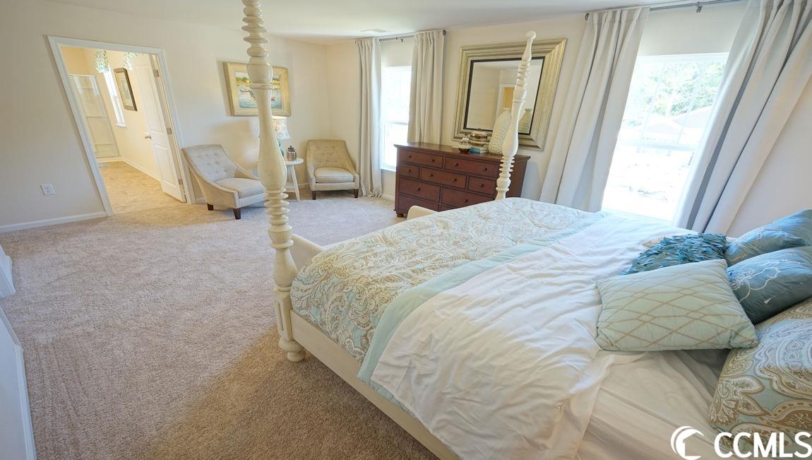 217 Harvest Rdg Way Conway, SC 29527 - Photo 26 of 29 Gallery Image 26