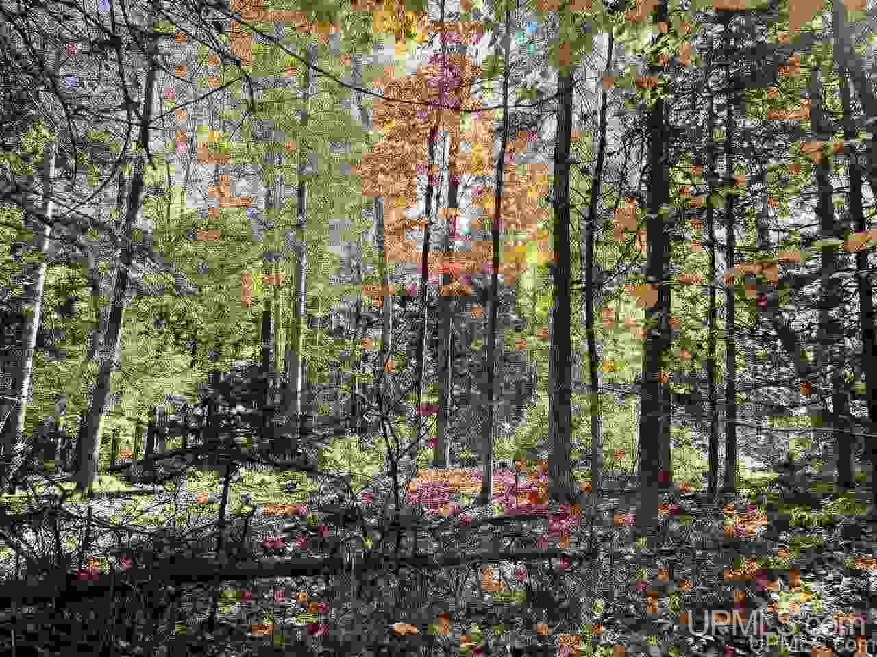 13996 Evergreen Road Rock, MI 49880 - Photo 31 of 47 Gallery Image 31