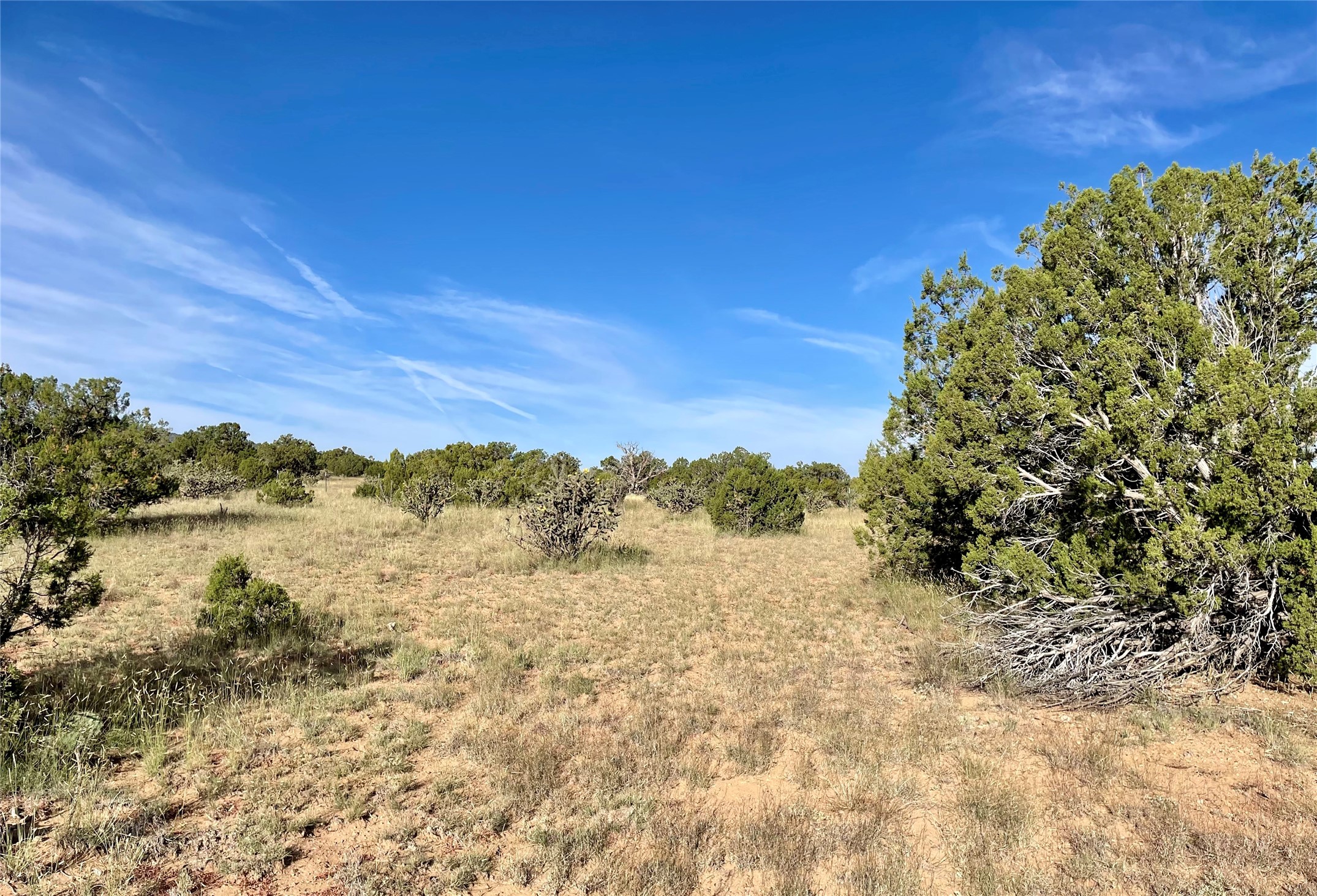 65 Grenfell Ranch Road Cerrillos, NM 87010 - Photo 29 of 46