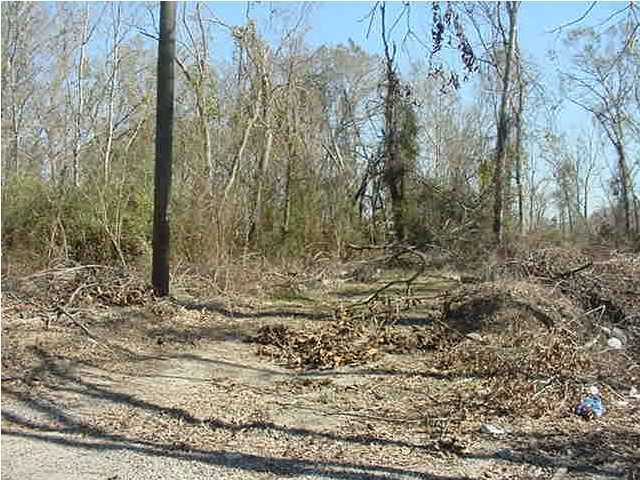 0 Rachal Lane Opelousas, LA 70570 - Photo 1 of 2 Primary Photo