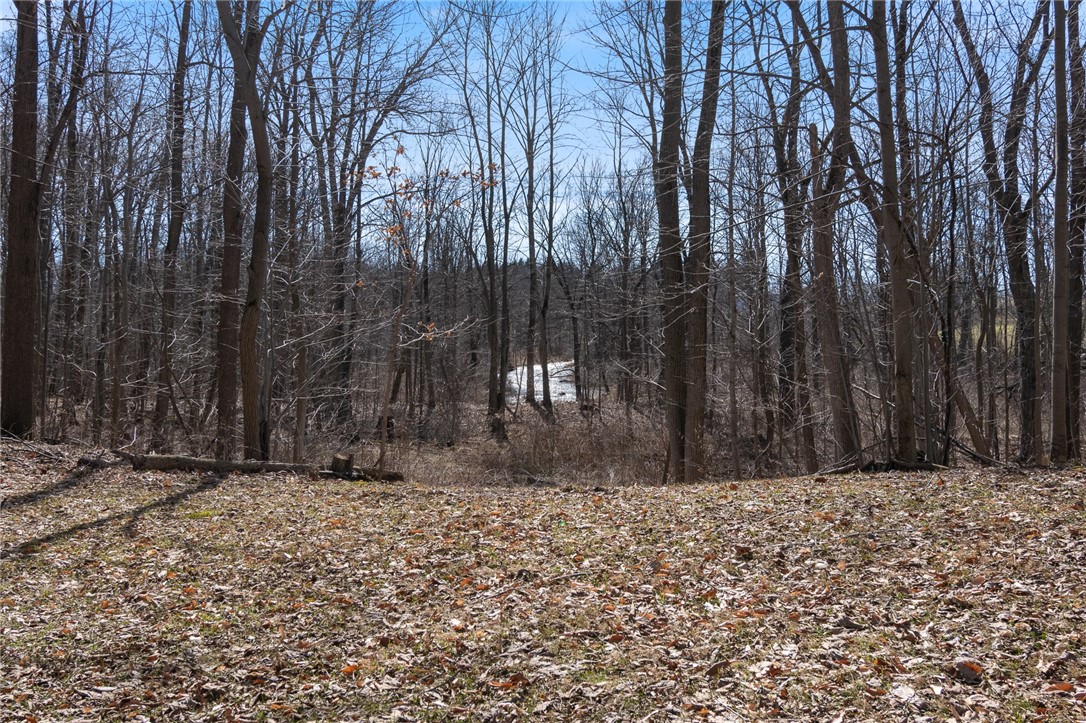 864 Gravel Road Tyre, NY 13148 - Photo 18 of 43 Black Brook Creek view from house