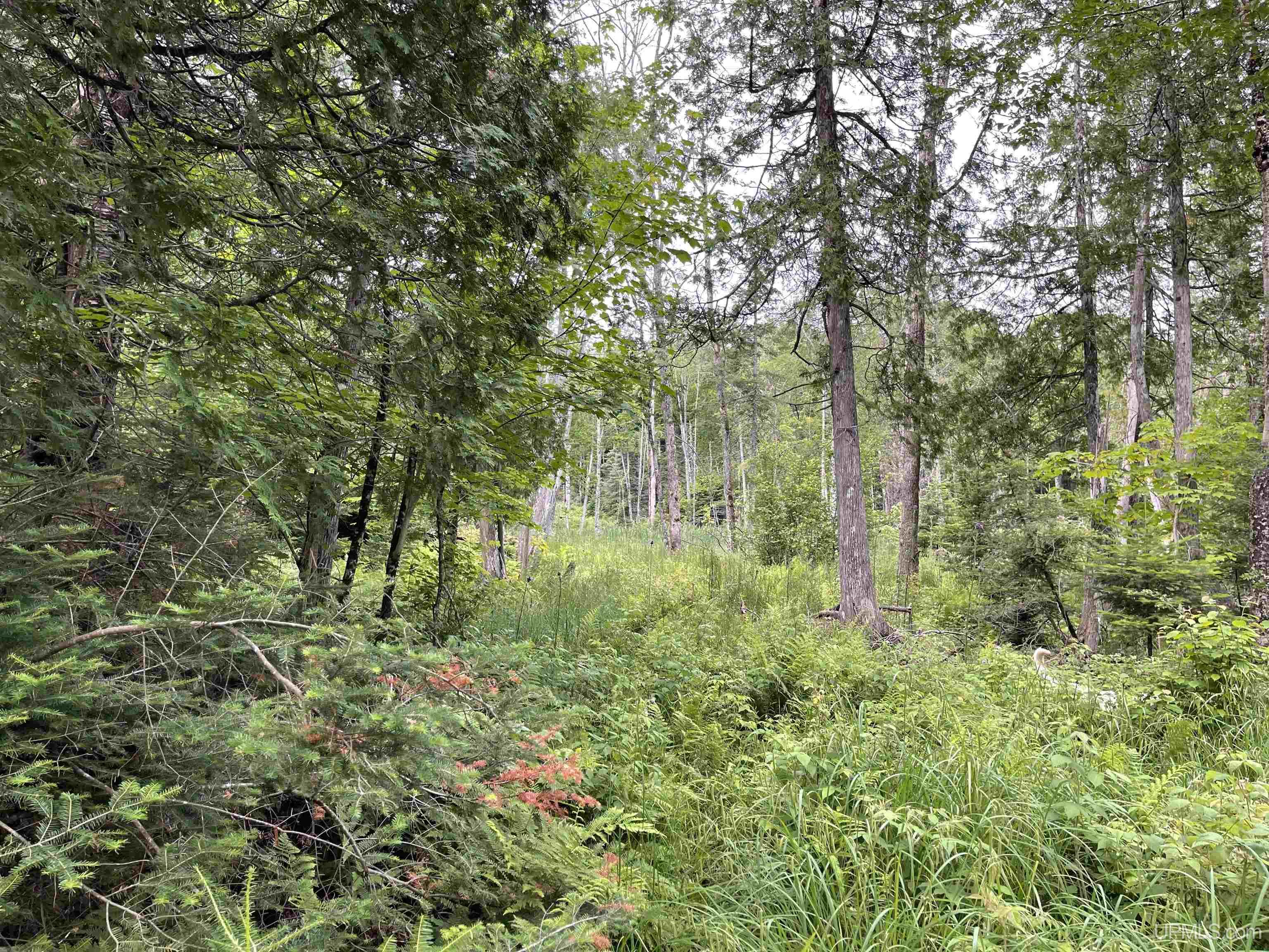 24-acres Cooper Lake Road Ishpeming, MI 49849 - Photo 10 of 13