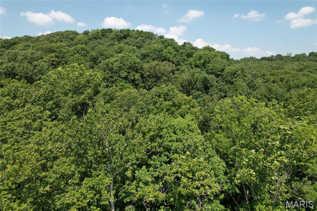 1333 Poor Farm Hollow Road Hardin, IL 62047 - Photo 4 of 58