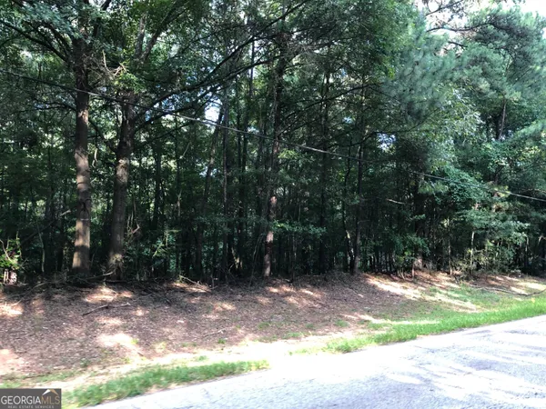 a view of backyard with green space