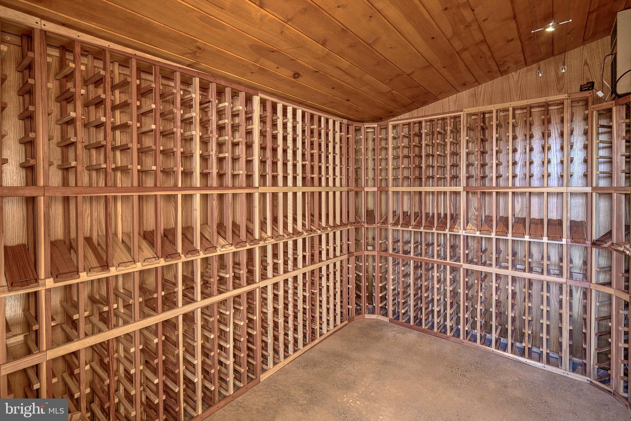 266 Province Line Road Skillman, NJ 08558 - Photo 59 of 71 Wine Cellar