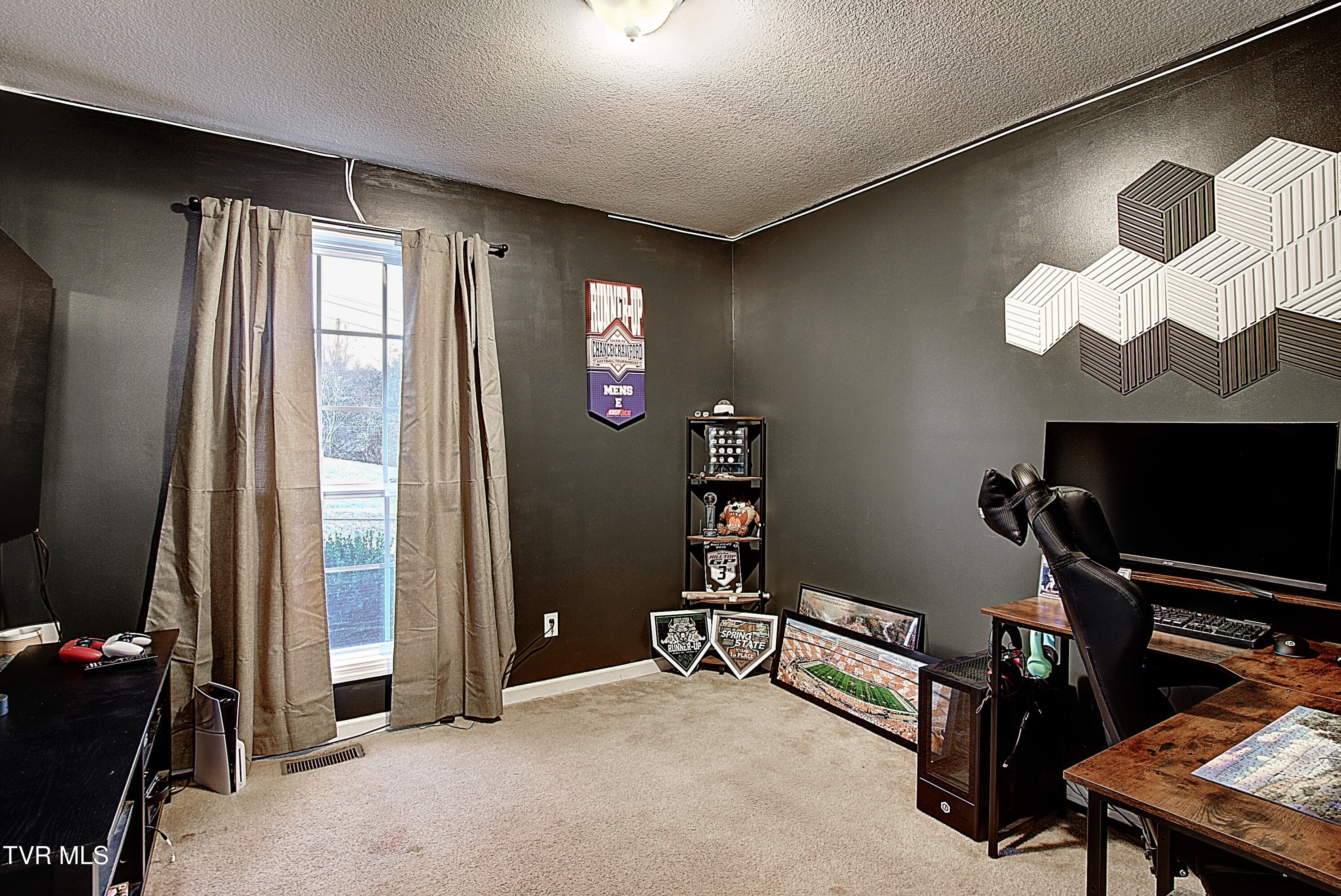 507 Cedar Street Mount Carmel, TN 37645 - Photo 20 of 30 DSC_0352And8more