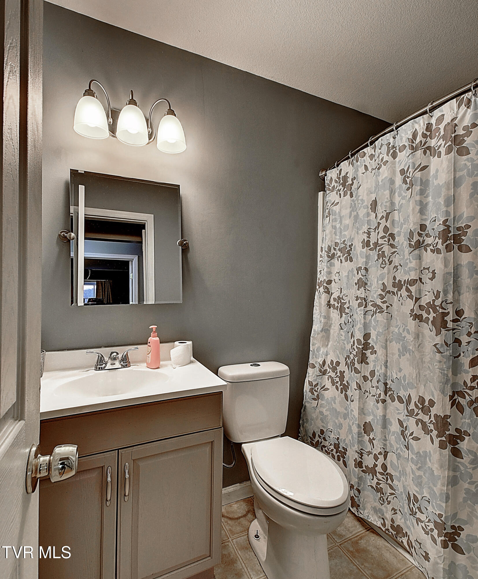 507 Cedar Street Mount Carmel, TN 37645 - Photo 22 of 30 DSC_0388And8more_stitch