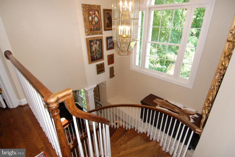 156 Rees Place Falls Church, VA 22046 - Photo 25 of 30 Other #2