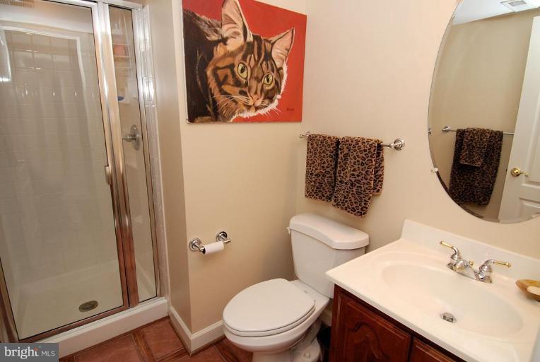 156 Rees Place Falls Church, VA 22046 - Photo 27 of 30 Bath #3