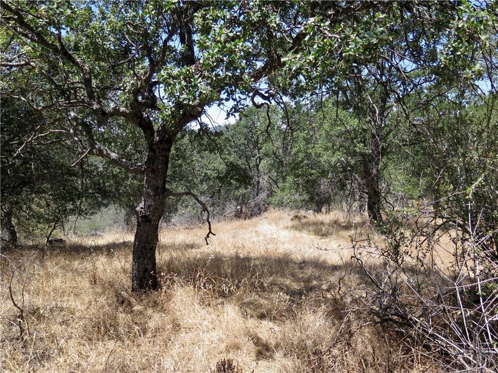 0 Ramblin Road Mariposa, CA 95338 - Photo 6 of 13