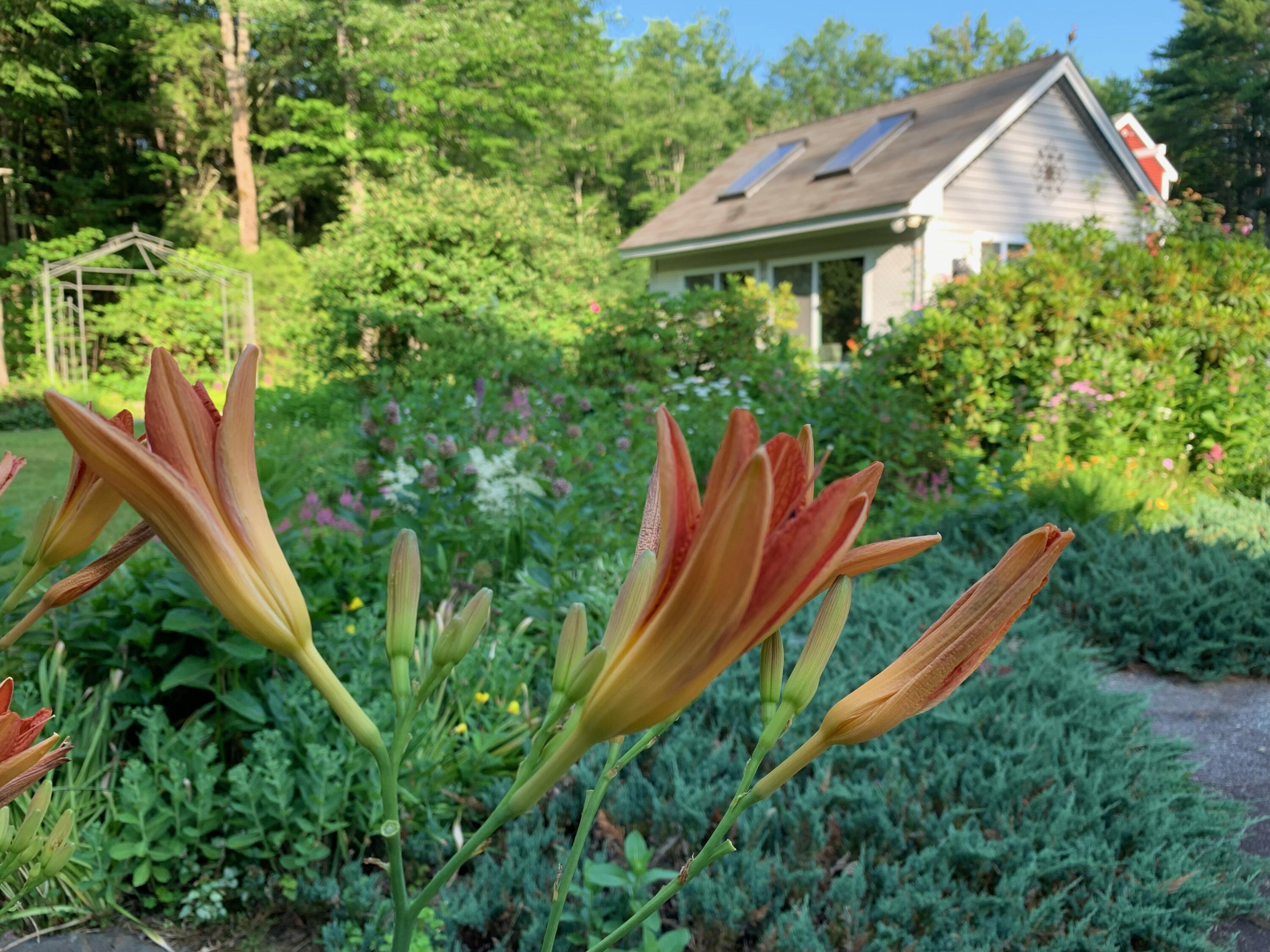 134 Ross Corner Road Shapleigh, ME 04076 - Photo 16 of 91 11-2