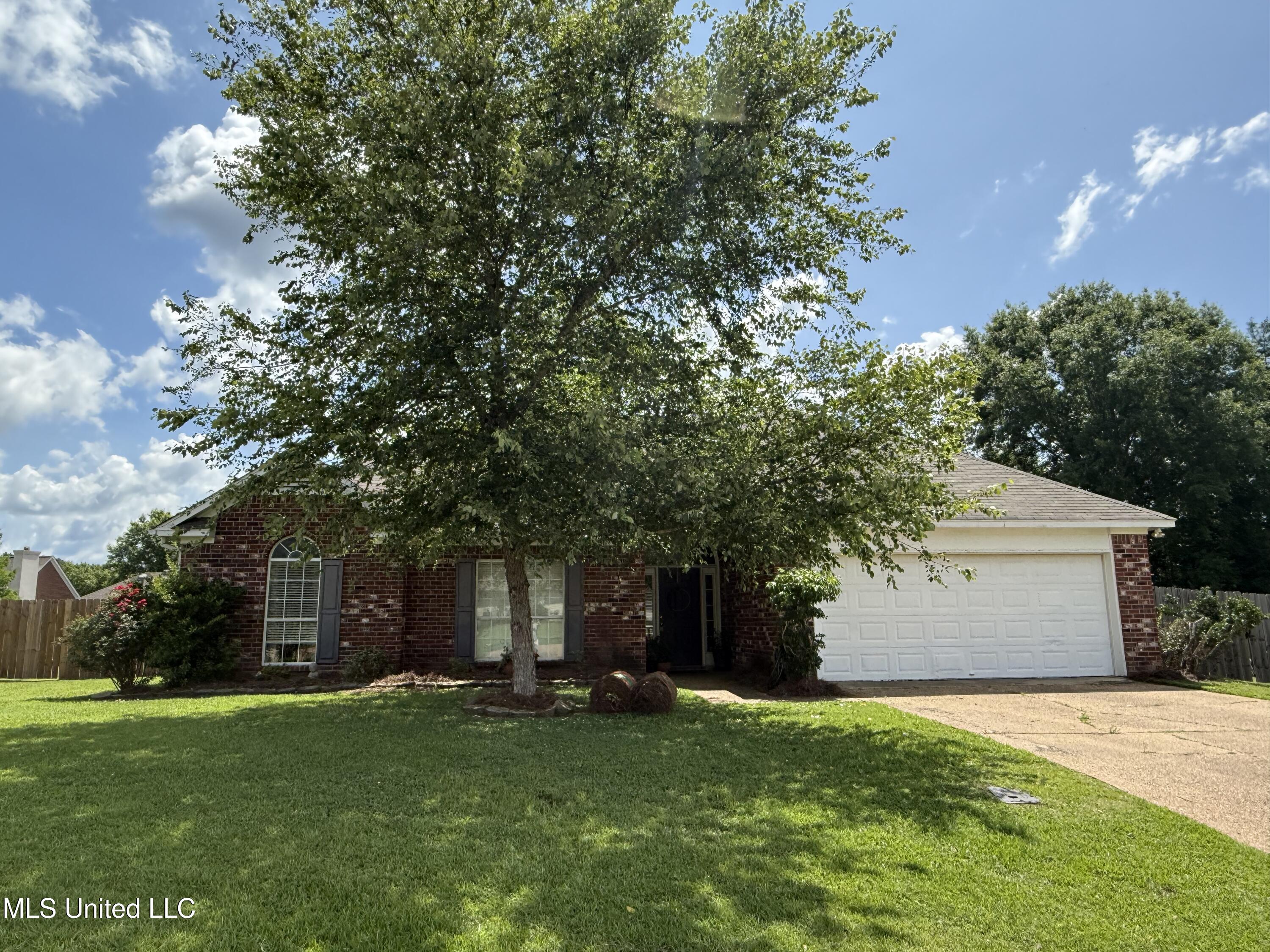 302 Chatfield Cove Madison, MS 39110 - Photo 1 of 24 IMG_3601
