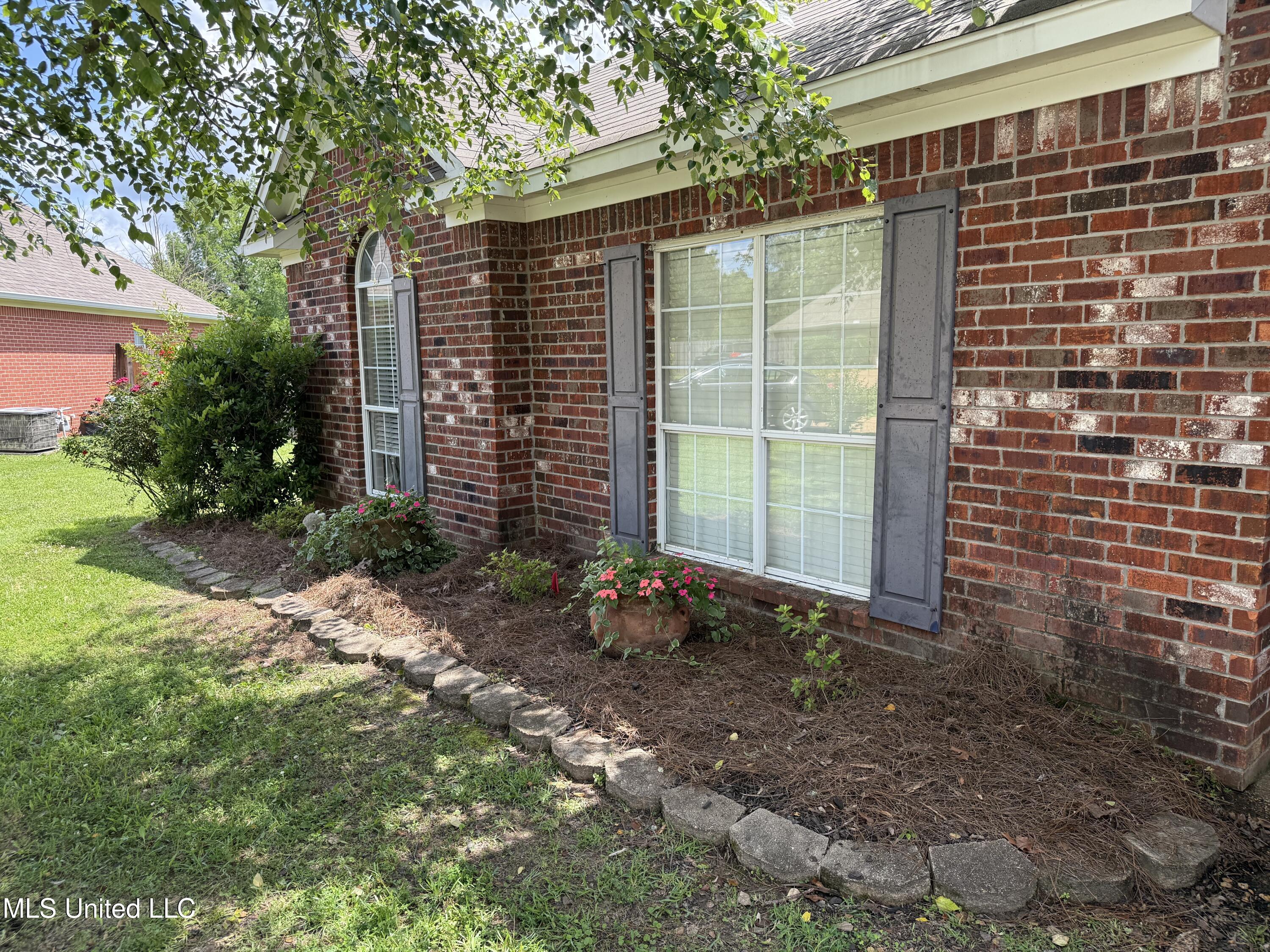 302 Chatfield Cove Madison, MS 39110 - Photo 3 of 24 IMG_3609
