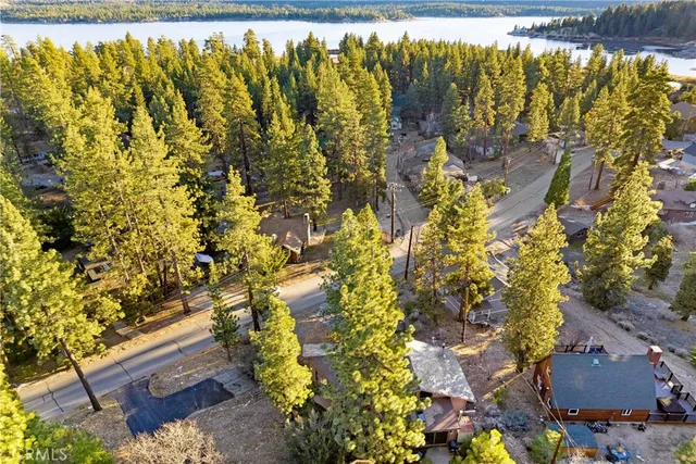 a view of a lot of flowers