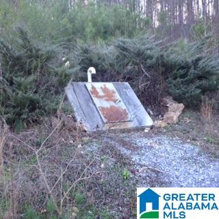 2045 Roberts Mill Pond Road Pell City, AL 35128 - Photo 4 of 4