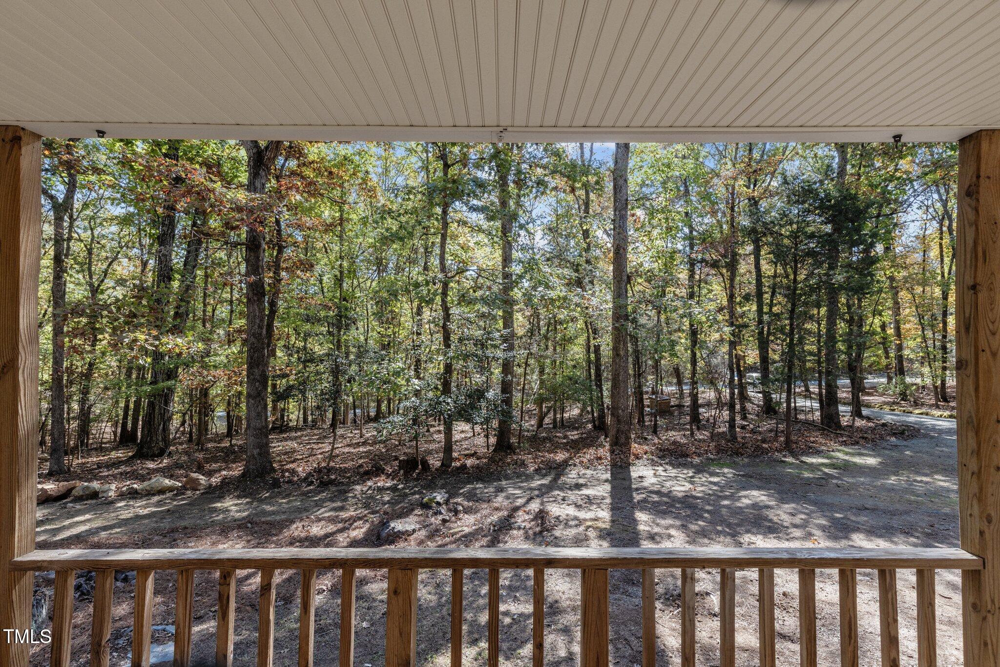 312 Redgate Road Pittsboro, NC 27312 - Photo 40 of 55 39-web-or-mls-8Y3A2021