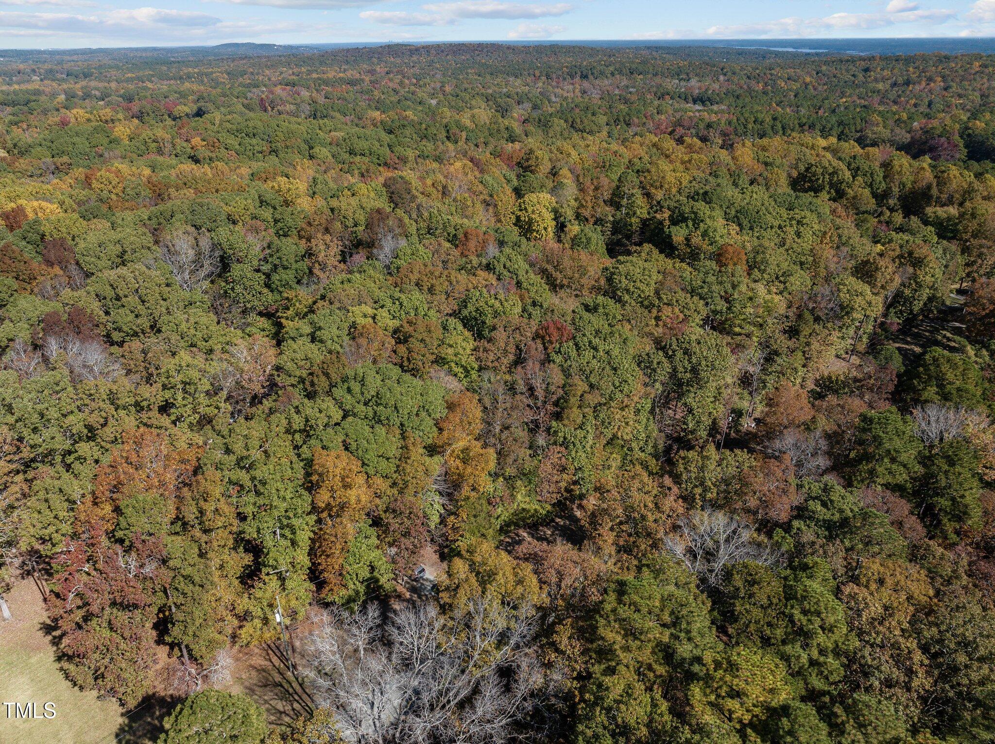 312 Redgate Road Pittsboro, NC 27312 - Photo 49 of 55 48-web-or-mls-DJI_20241028124623_0476_D