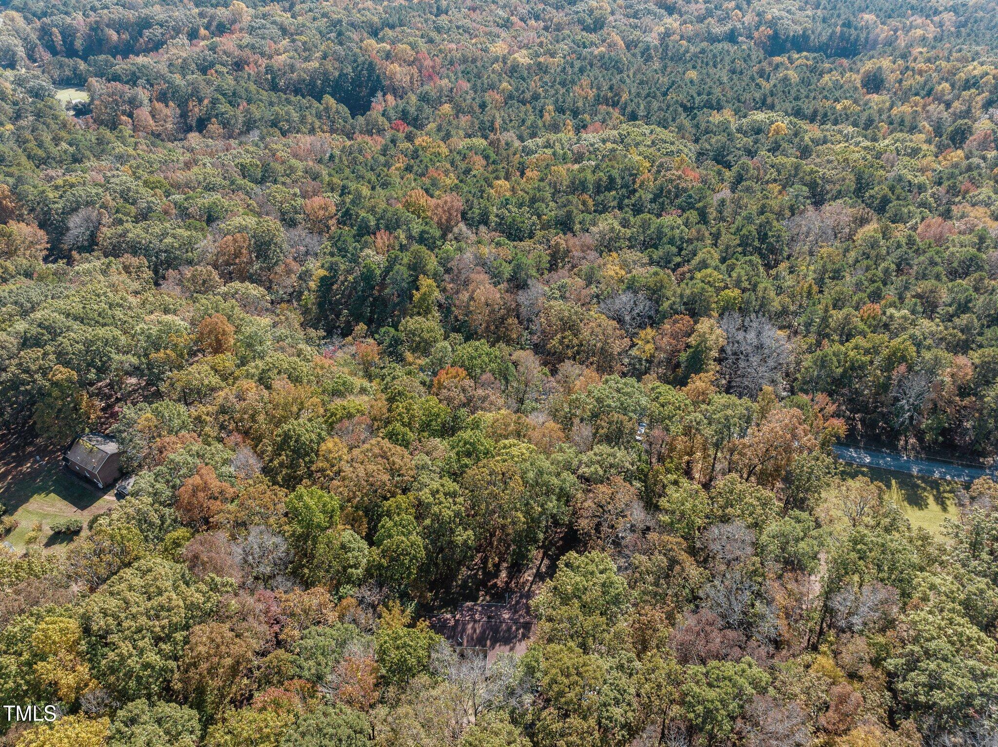 312 Redgate Road Pittsboro, NC 27312 - Photo 52 of 55 51-web-or-mls-DJI_20241028124722_0479_D