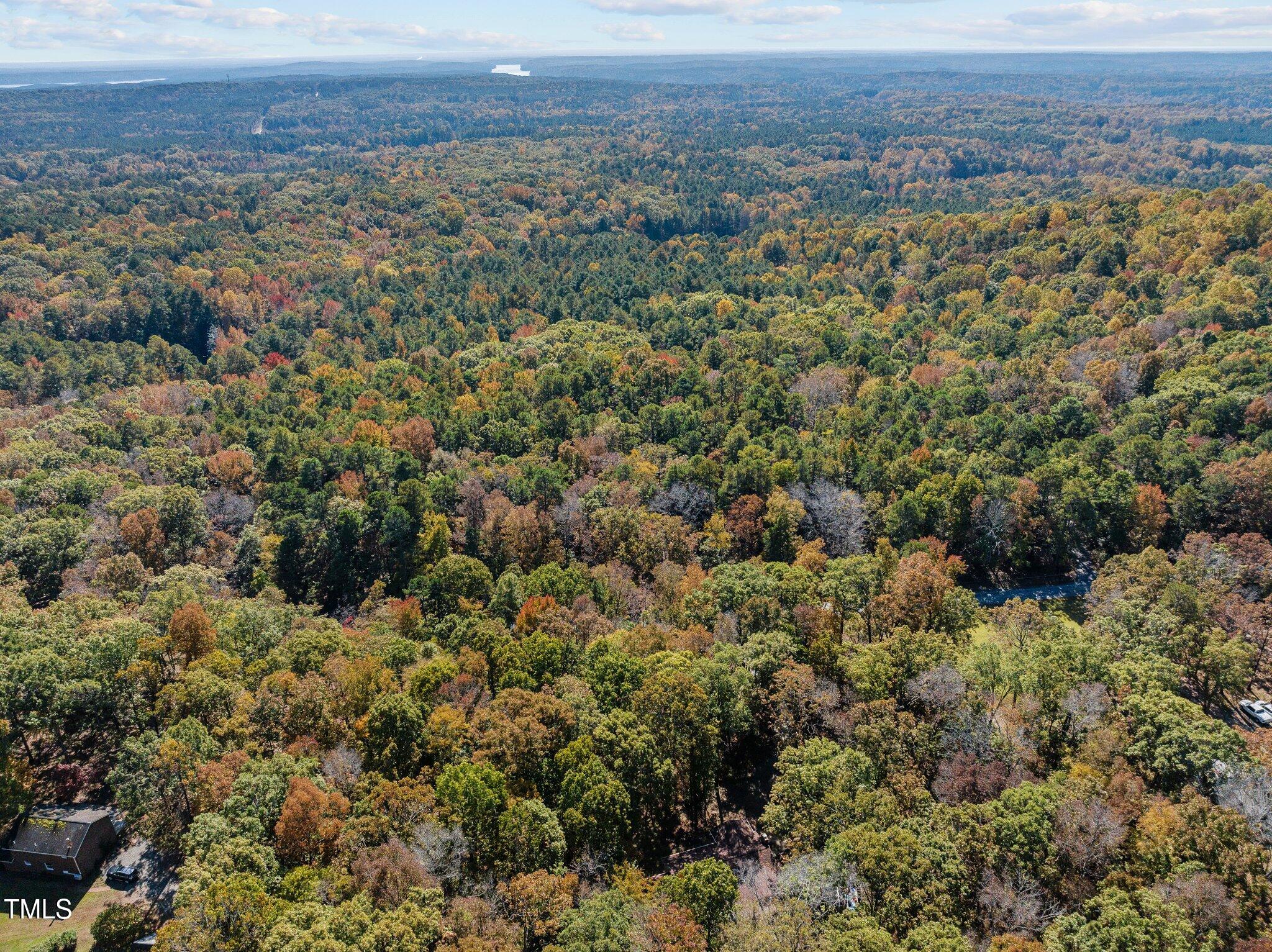 312 Redgate Road Pittsboro, NC 27312 - Photo 53 of 55 52-web-or-mls-DJI_20241028124735_0480_D