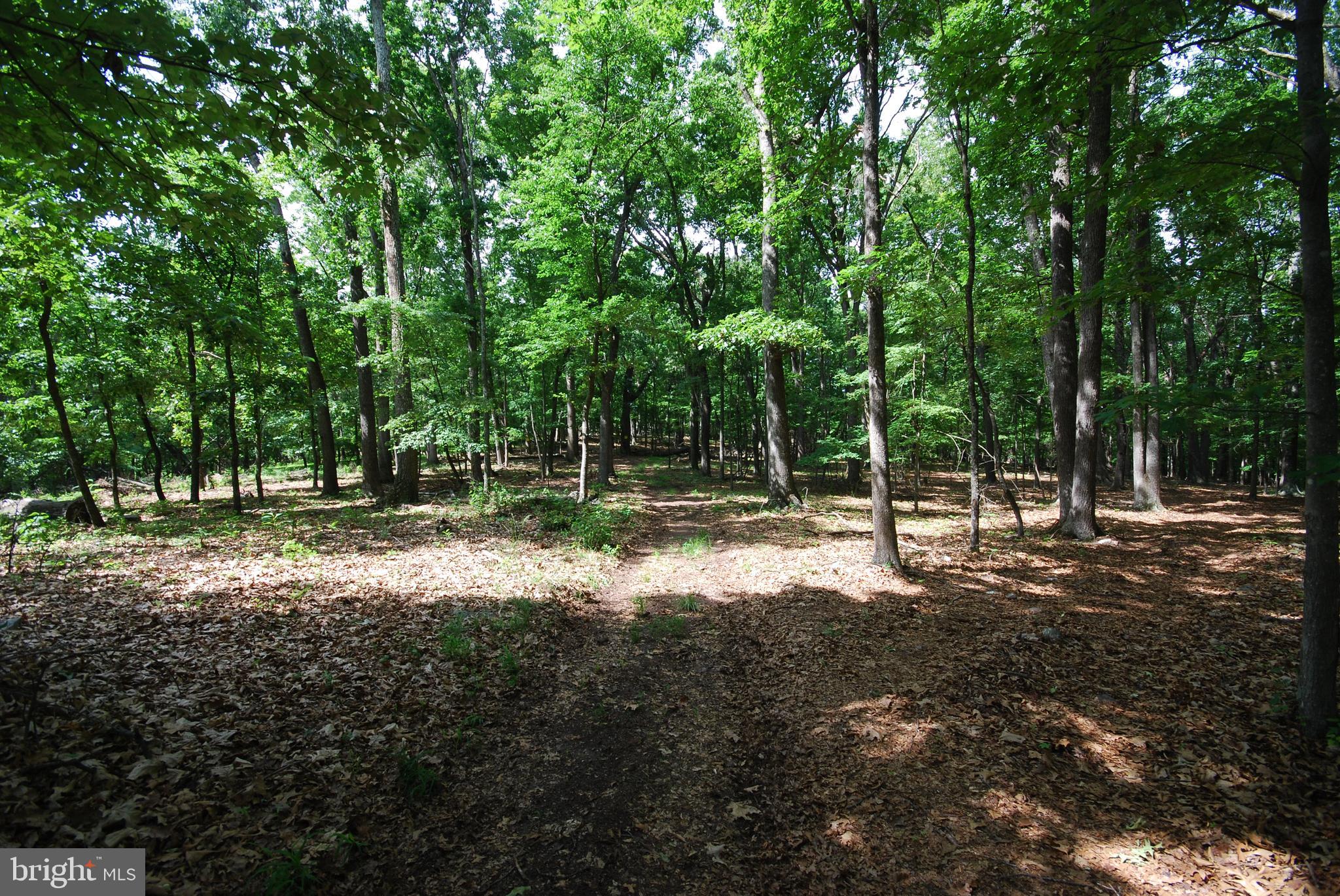Lot 67 Mill Mountain Road Romney, WV 26757 - Photo 23 of 40