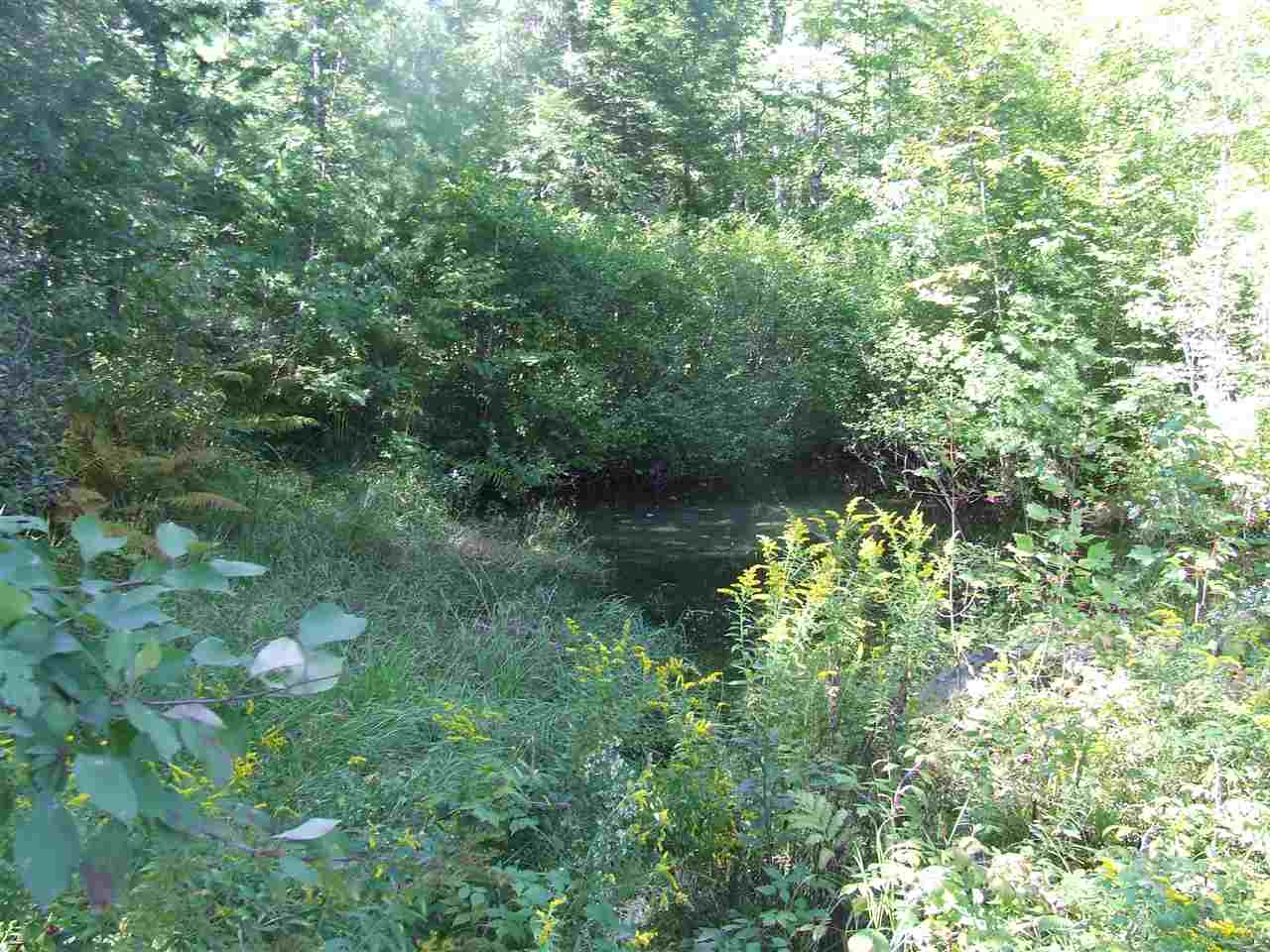 220 Tall Pines Road Tamworth, NH 03817 - Photo 6 of 40 Gallery Image 6