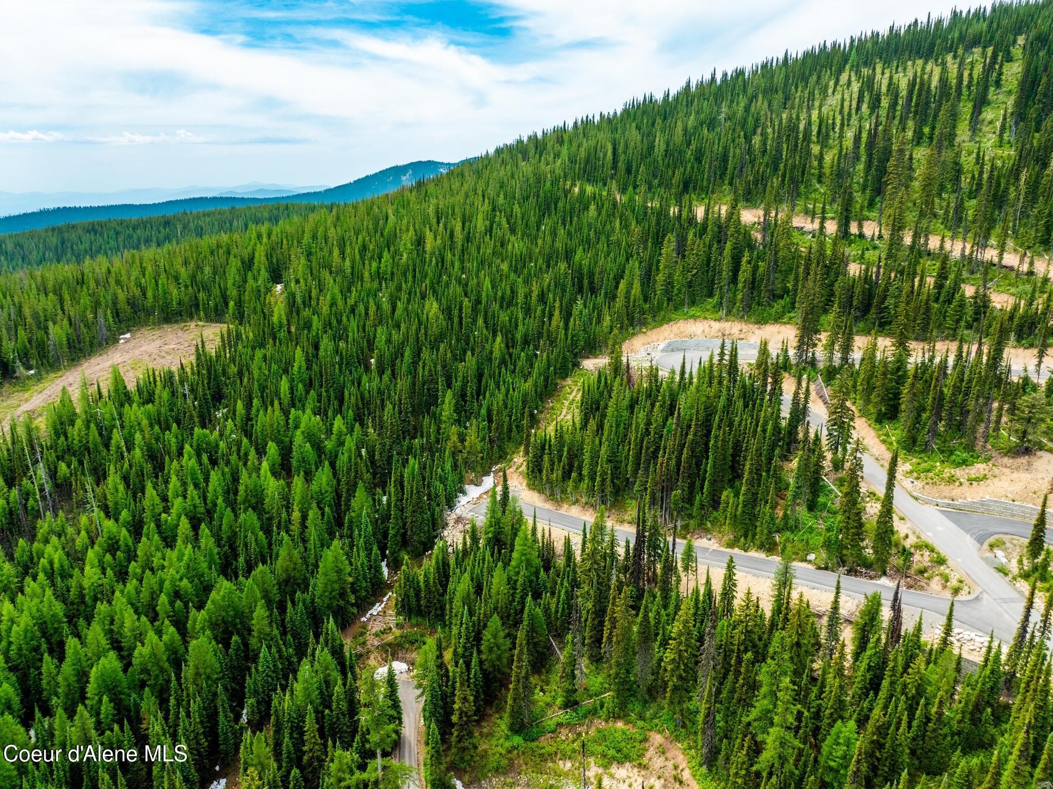 Nna Nna Snag Line Lane Sandpoint, ID 83864 - Photo 17 of 25 DJI_20250612042348_0788_D-HDR