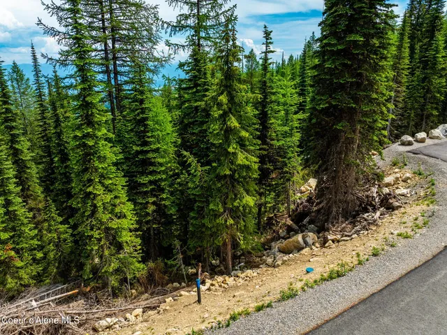 $449,999 | Nna Nna Snag Line Lane, Sandpoint, ID 83864